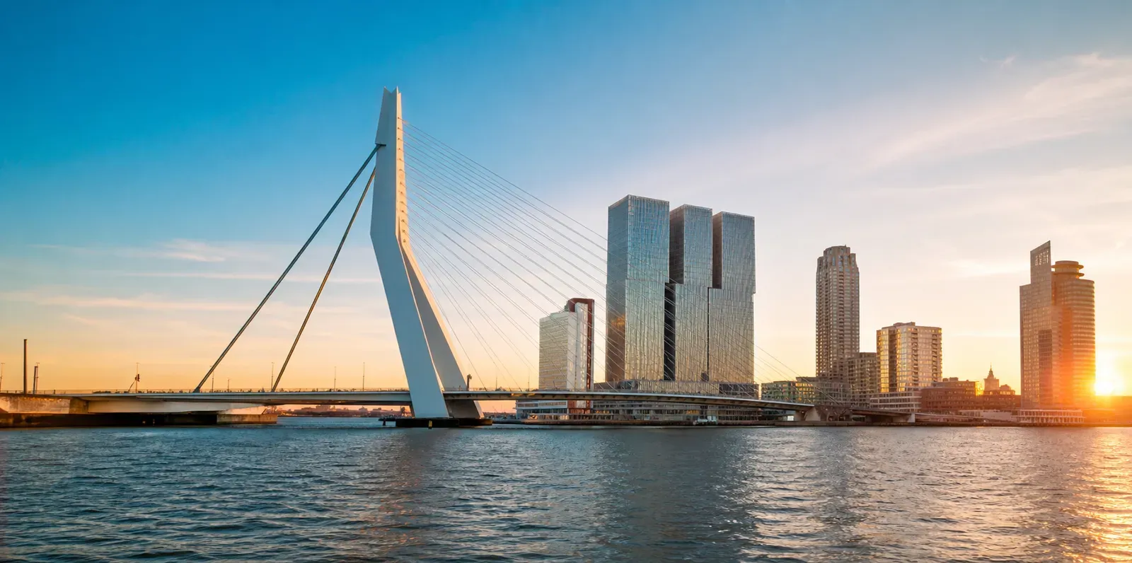 Most Erasmusa w Rotterdamie, praca w Holandii
